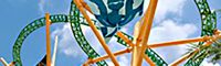 Theme Park Packages