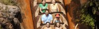 Area Attractions